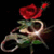 :iconlozerstock: