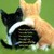 :iconlozstar55: