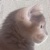 :iconlpaul55: