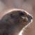:iconlphoto9raphy: