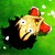 :iconlpn14: