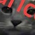 :iconlpsgirl345001: