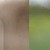 :iconlrhodesfan: