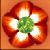 :iconltimmick: