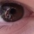 :iconltp15: