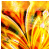 :iconLuAndTheFuzzyClouds: