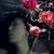:iconluanieart: