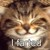 :iconlublywolfie: