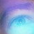 :iconlucafesta: