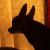 :iconlucario2188: