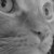 :iconlucasbinx: