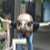 :iconlucaspuryear: