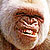 :iconlucasr90:
