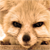 :iconlucasvulpes:
