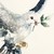 :iconlucfyre:
