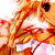 :iconluci-alucard: