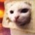 :iconluciddreamer36: