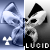 :iconlucidentropy: