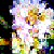 :iconlucideyes2: