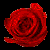 :iconlucidfire: