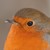 :iconlucielette: