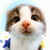 :iconlucifer329: