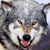:iconluciferchen:
