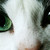:iconluciferhell: