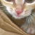 :iconluciferin: