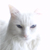 :iconlucifertheimp: