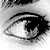 lucileM :iconlucilem: