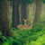 LucilleZ :iconlucillez: