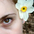 :iconlucin-stock:
