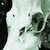 :iconlucindaknight21: