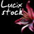 Lucix-stock :iconlucix-stock: