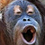 :iconluckeri: