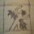 :iconLuckey-Haskins: