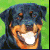 :iconluckie88: