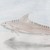 :iconluckilystar-crossed: