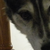 :iconluckoftrix: