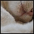 :iconlucky-april:
