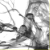 :iconlucky-disaster: