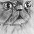 :iconlucky-silentgirl: