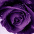 :iconlucky670: