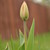 :iconlucky8505: