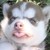 :iconluckyangel123: