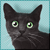 :iconluckyblackkittycat13: