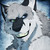 :iconluckydude11: