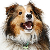 :iconluckyhorseshoe123: