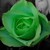 :iconluckylucy29: